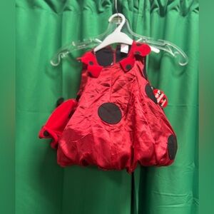 Ladybug baby  Halloween costume